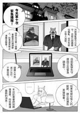 第 6 頁