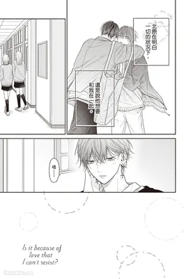 第 8 頁