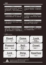 第 6 頁