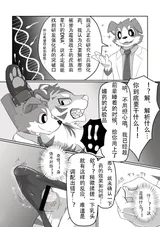 第 4 頁