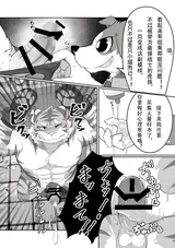 第 5 頁