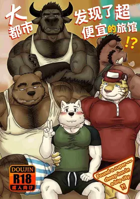 在大城市里找到一家超级便宜的旅馆