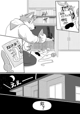 第 6 頁