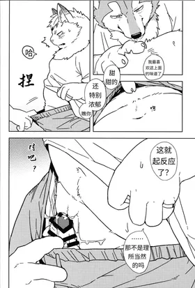 第 8 頁