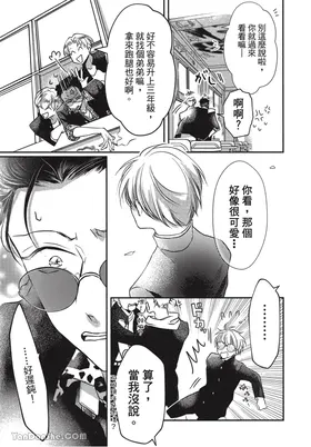 第 7 頁