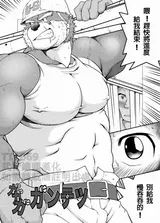 第 3 頁