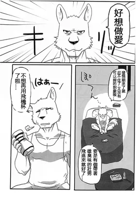 第 8 頁