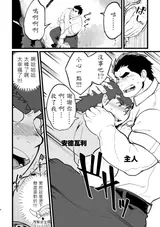 第 3 頁