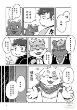 第 3 頁