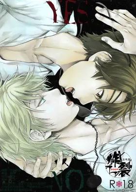 YES/NO