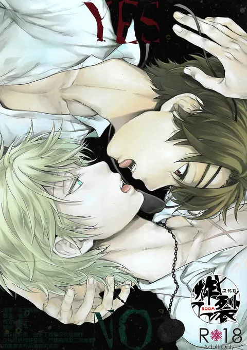 YES/NO