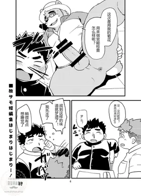 第 6 頁