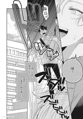 第 7 頁