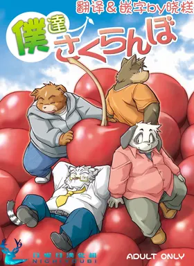 我们是樱桃