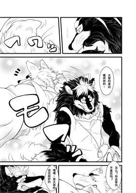 第 3 頁