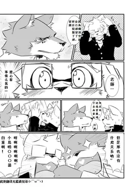 第 5 頁