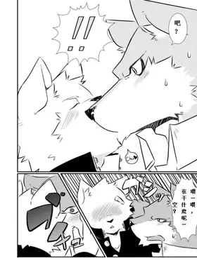 第 8 頁