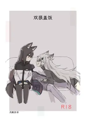 双狼盖饭(明日方舟)|アークナイツのオオカミ丼(Arknights)|戊酸自译