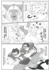 第 4 頁