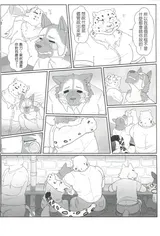 第 5 頁