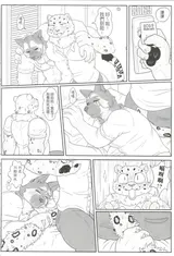 第 7 頁