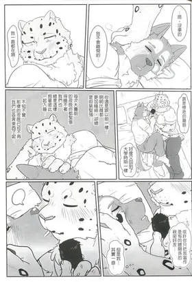 第 8 頁