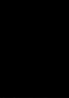 第 2 頁