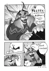 第 6 頁