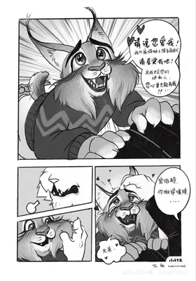 第 6 頁