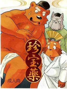 珍宝药