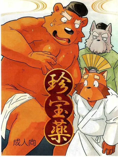 珍宝药