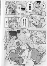 第 8 頁
