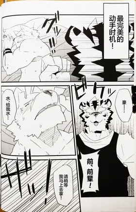 第 4 頁