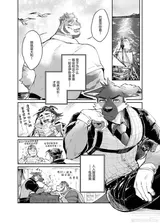 第 8 頁