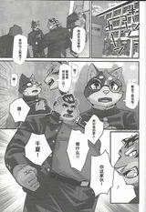 第 3 頁
