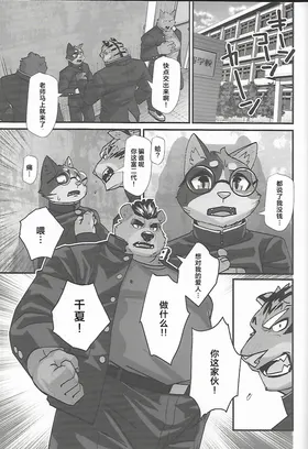 第 3 頁
