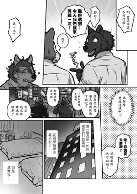 第 8 頁