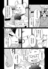 第 8 頁