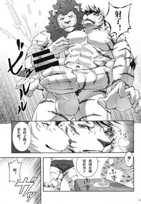 第 8 頁