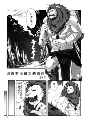 第 3 页