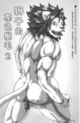 第 2 頁