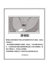 第 3 頁