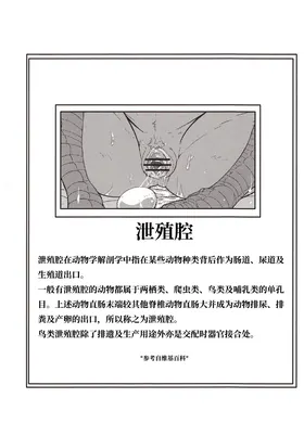 第 3 頁