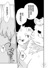 第 7 頁