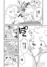 第 8 頁