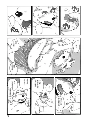 第 8 页