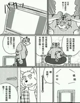 第 6 頁