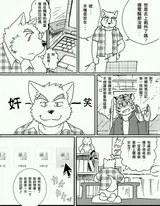 第 7 頁