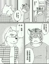 第 8 頁