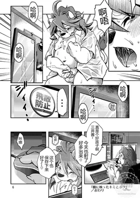 第 5 页